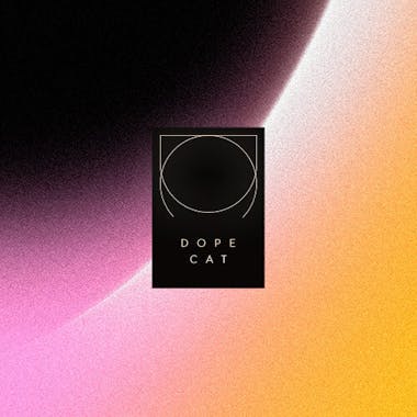 Sad Cat Dance: albums, songs, playlists