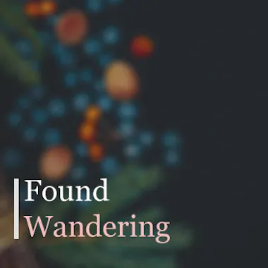 Found Wandering